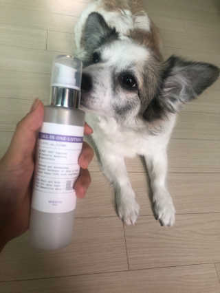 pouryourlove님이 올린 리뷰 사진 1