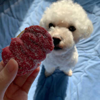 설량님이 올린 리뷰 사진 3
