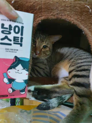 연주니님이 올린 리뷰 사진 1