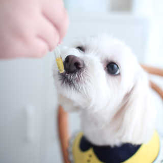 양양님이 올린 리뷰 사진 1