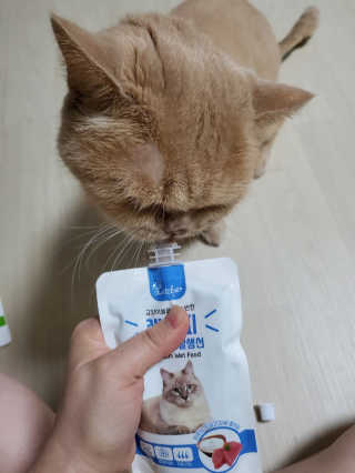 탱크돌콩님이 올린 리뷰 사진 4