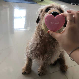 라일락앤락님이 올린 리뷰 사진 3