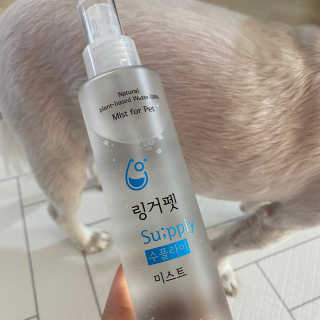 ㄴ모오러님이 올린 리뷰 사진 1