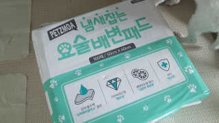 wsea님이 올린 리뷰 사진 1