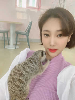 Mini님이 올린 리뷰 사진 1