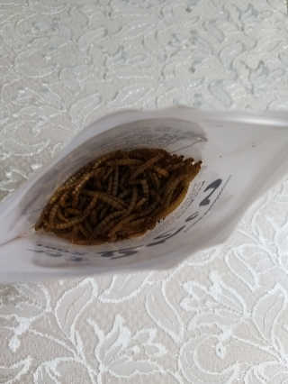 풀빛사랑님이 올린 리뷰 사진 4
