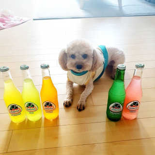 미니코코님이 올린 리뷰 사진 3