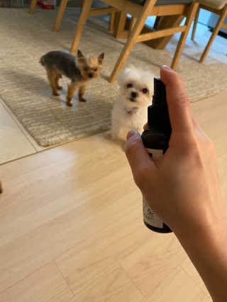 황방울이님이 올린 리뷰 사진 3