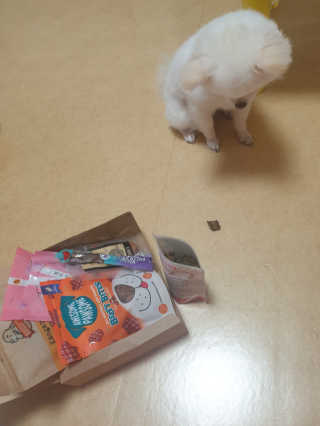문시니니님이 올린 리뷰 사진 3