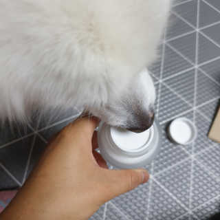 요하님이 올린 리뷰 사진 2