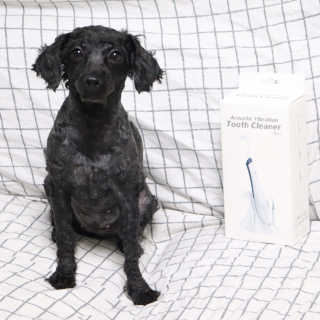 우와한언니님이 올린 리뷰 사진 3