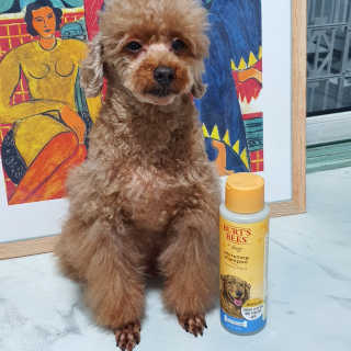 김이설님이 올린 리뷰 사진 1