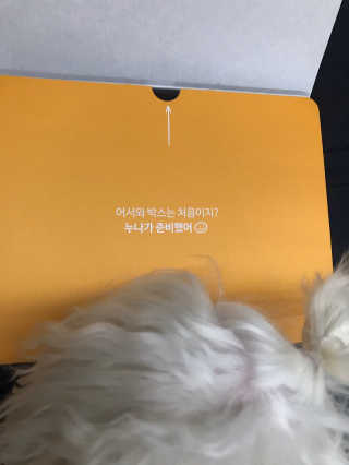 윤퍼플님이 올린 리뷰 사진 1