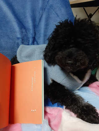 pie_chui님이 올린 리뷰 사진 2