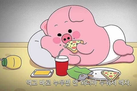 손가락 지시손 (가위, 바위, 보)각 1개씩 리뷰 사진