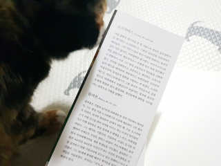 현대지성 소크라테스의 변명·크리톤·파이돈·향연 — 5점을 준 리뷰어가 2020년 4월 올린 사용 사진