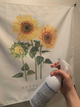 Medilox 메디록스 살균소독제_3종 500ml [택 1] — 5점을 준 리뷰어가 2020년 9월 올린 사용 사진