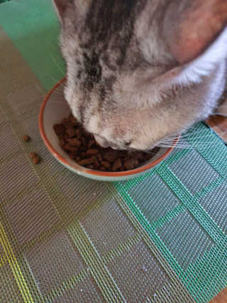 전은영님이 올린 리뷰 사진 4
