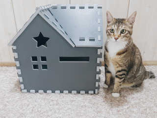 미르별님이 올린 리뷰 사진 1