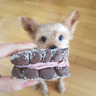 롤리팝님이 올린 리뷰 사진 1