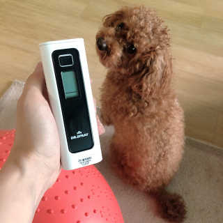 리뷰크러쉬님이 올린 리뷰 사진 1