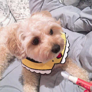 백설님이 올린 리뷰 사진 1