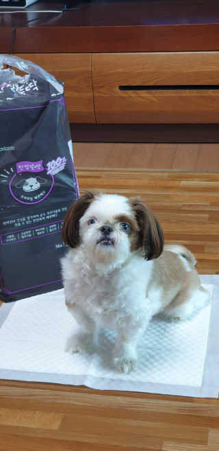 보라빗방울님이 올린 리뷰 사진 2