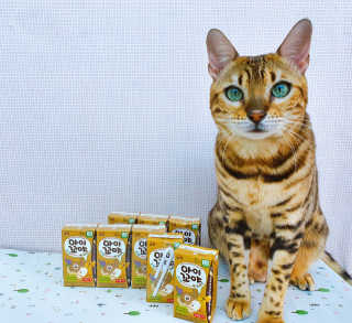 남양유업 아이꼬야 유기농 베이비주스 배도라지 12입 — 5점을 준 리뷰어가 2020년 9월 올린 사용 사진