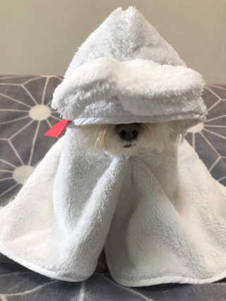 윤퍼플님이 올린 리뷰 사진 1