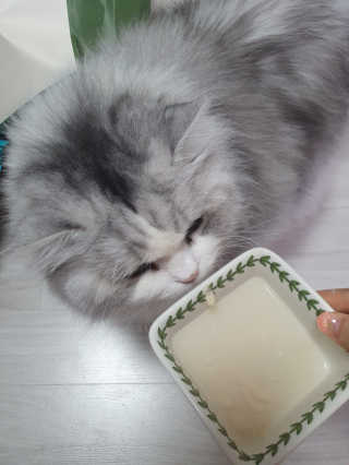 슬뷰님이 올린 리뷰 사진 2