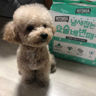 se0ngsu님이 올린 리뷰 사진 3