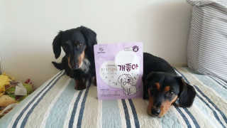 My Pet Care 천연단백질 치아건강에 개좋아 — 4점을 준 리뷰어가 2020년 11월 올린 사용 사진