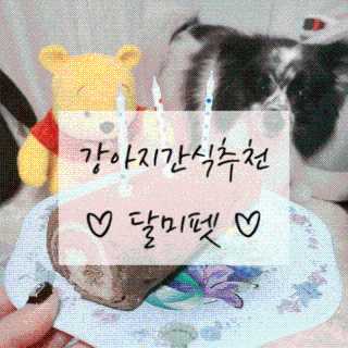 때니님이 올린 리뷰 사진 1