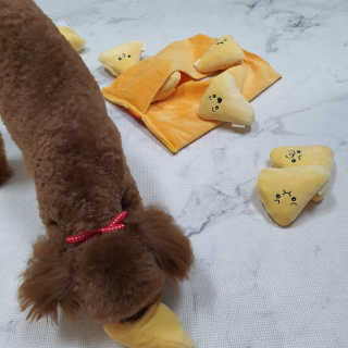 봄찌님이 올린 리뷰 사진 3