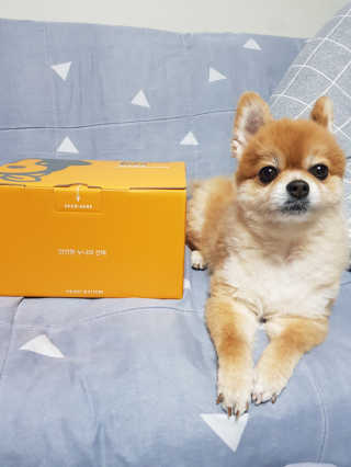 름이가리님이 올린 리뷰 사진 3