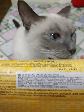 만만이집사님이 올린 리뷰 사진 2