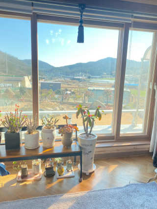 아야어여오노니님이 올린 리뷰 사진 4