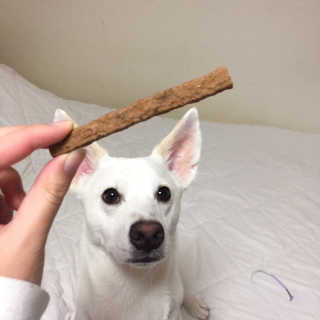My Pet Care 천연단백질 치아건강에 개좋아 — 5점을 준 리뷰어가 2020년 11월 올린 사용 사진