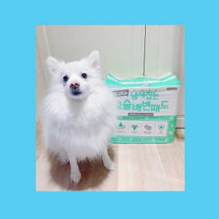 똥비님이 올린 리뷰 사진 1
