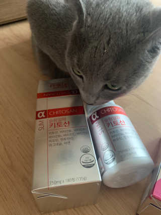 롬님이 올린 리뷰 사진 3