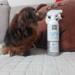 SP9 스프레이형 프리미엄 — 5점을 준 리뷰어가 2020년 11월 올린 사용 사진