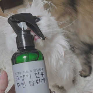 Isabelle Lee님이 올린 리뷰 사진 3