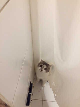 hysuneese님이 올린 리뷰 사진 3