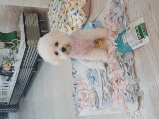KAY님이 올린 리뷰 사진 1