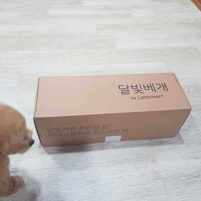 라떼크림 달빛베개 리뷰 사진