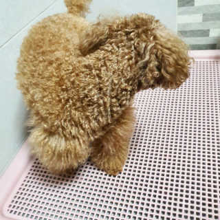 사랑해안시영님이 올린 리뷰 사진 2