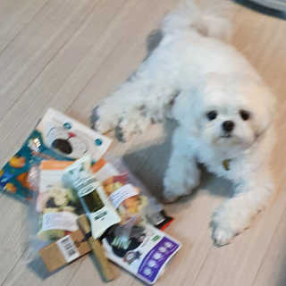 hosu.1230님이 올린 리뷰 사진 3