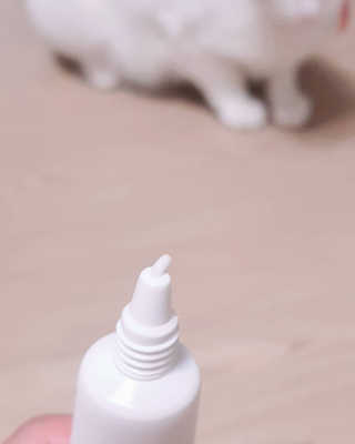 [자유펫] 시코니딘 고양이 강아지 피부 보습 연고 20g — 5점을 준 리뷰어가 2020년 8월 올린 사용 사진