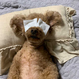 뚜루님이 올린 리뷰 사진 3