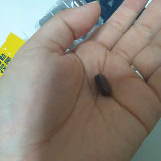 조은약초 꿀잠큐어 제주 감태추출물 감태정 600mg — 5점을 준 리뷰어가 2020년 6월 올린 사용 사진
